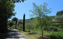 Photo submitted by guest of Podere San Bono