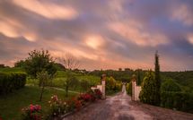 Photo submitted by guest of Podere Romina Exclusive