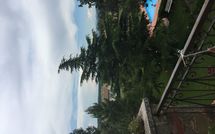 Photo submitted by guest of Maesta dei Mori