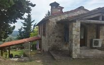 Photo submitted by guest of Casa Anna