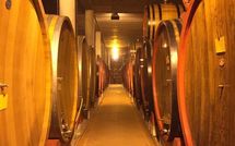 Photo submitted by guest of Villa Gaville