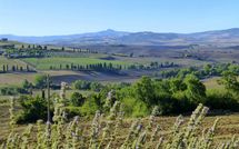 Photo submitted by guest of Fonte All'Oppio