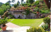 Photo submitted by guest of Al Mennucci