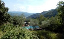 Photo submitted by guest of Il Castagneto