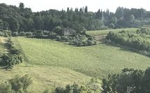 Photo submitted by guest of Righi