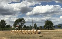 Photo submitted by guest of Case Sant'Anna