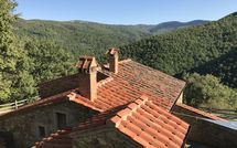 Photo submitted by guest of Tribbiano