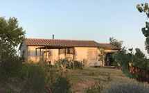 Photo submitted by guest of Santa Barbera