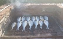 Photo submitted by guest of Torre di Vignale