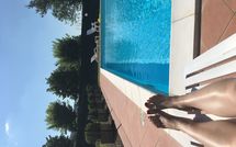 Photo submitted by guest of Il Pasqualino