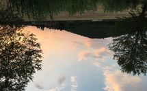 Photo submitted by guest of Il Pasqualino