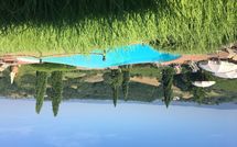 Photo submitted by guest of Casa Mori