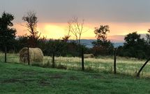 Photo submitted by guest of Podere Capraia