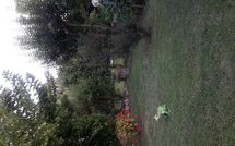 Photo submitted by guest of Casina del Sole