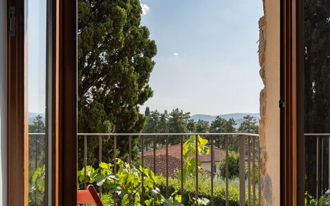 Villa Fracassini: Plant, Sky, Property, Cloud, Botany, Shade, Building, Wood, Lighting