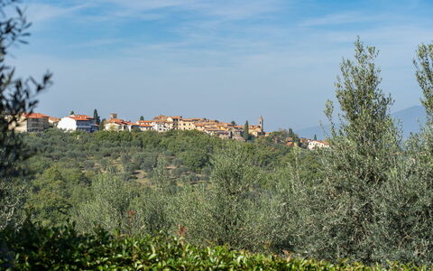 La Miccia: Sky, Plant, Cloud, Ecoregion, Natural Landscape, Land Lot, Vegetation, Tree, Building, Grass