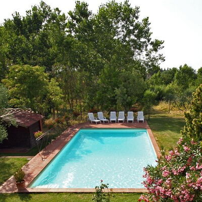 Villa Acacia: Swimming Pool, Property, Natural Landscape, House, Tree, Real Estate, Estate, Garden, Building, Backyard