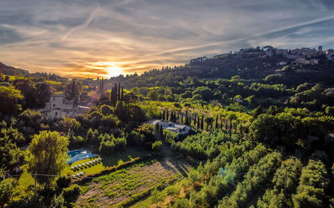 Villa Ardene: Cloud, Sky, Atmosphere, Plant, Natural Landscape, Sunlight, Tree, Dusk, Afterglow, Landscape