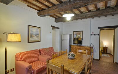 Accommodation:&nbsp;Primula