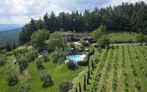 Villa Flora: Hill Station, Highland, Biome, Wilderness, Plantation, Tree, Landscape, Rural Area, Land Lot, Photography