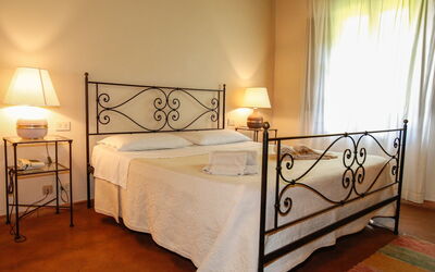 Accommodation:&nbsp;Paulonia