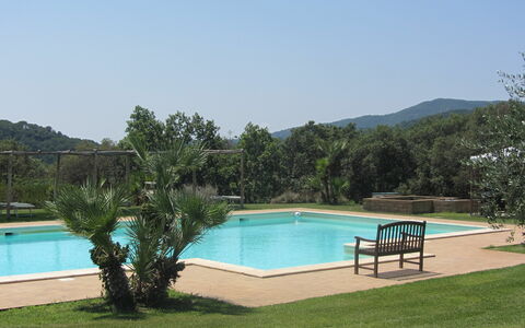Villa Di Seripa: Swimming Pool, Property, Grass, Resort, Leisure, Real Estate, House, Vacation, Estate, Tree