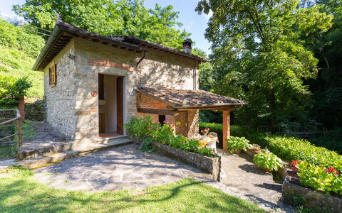 La Ripresa: Property, House, Cottage, Building, Real Estate, Home, Botany, Yard, Estate, Rural Area