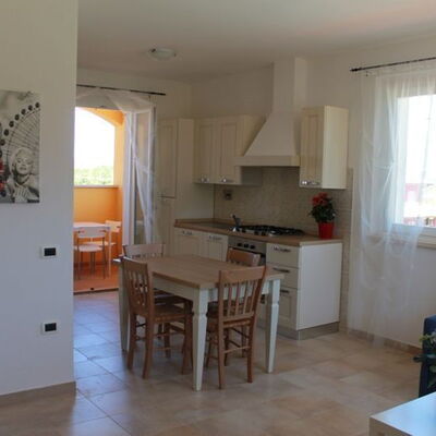 Trilocale Piano Terra 235