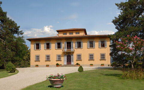 Villa Del Conte: Estate, Property, Building, House, Mansion, Home, Manor House, Villa, Stately Home