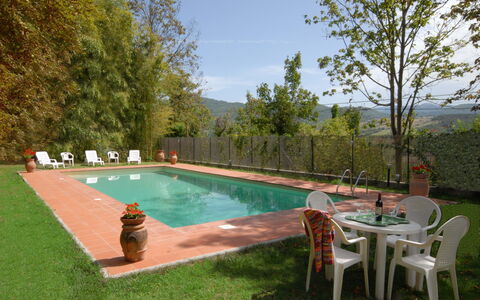 Villa Del Conte: Swimming Pool, Property, Backyard, Grass, Leisure, Real Estate, Estate, House, Yard, Tree