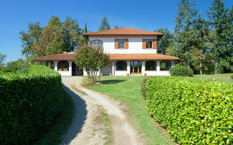 Villa Cinzia: Plant, Sky, Property, Building, Green, Window, Tree, Natural Landscape, Land Lot, Vegetation