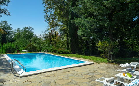 Villa Cinzia: Water, Plant, Swimming Pool, Tree, Shade, Rectangle, Natural Landscape, Grass, Leisure, Composite Material