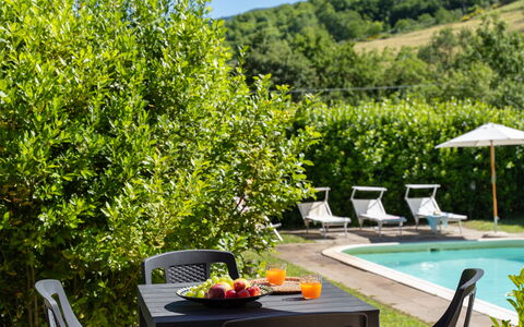 Villa Il Nido: Water, Plant, Furniture, Plant Community, Green, Outdoor Furniture, Table, Swimming Pool, Flower, Tree