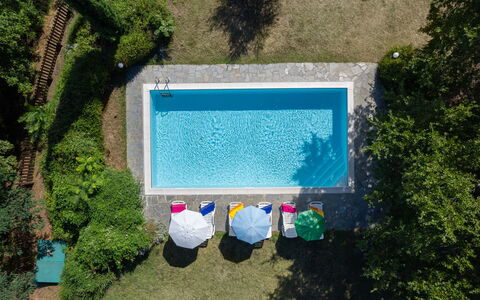 Casa Corella: Water, Plant, Azure, Rectangle, Grass, Vegetation, Shade, Swimming Pool, Leisure, Landscape