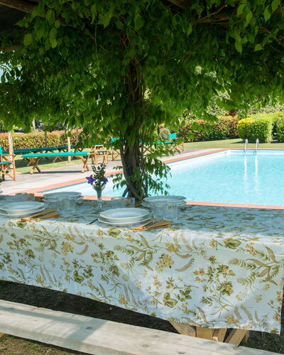Villa Le Volte: Swimming Pool, Property, Vacation, Leisure, Tree, Resort, House, Real Estate, Table, Landscape
