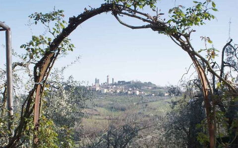 Agriturismo Paterno: Tree, Arch, Plant, Architecture, Woody Plant, Grass, Branch, Landscape, Rock