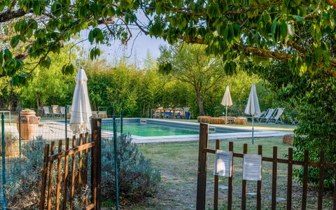 Agriturismo Il Molinello: Plant, Water, Fence, Tree, Natural Landscape, Shade, Woody Plant, Wood, Grass, Home Fencing