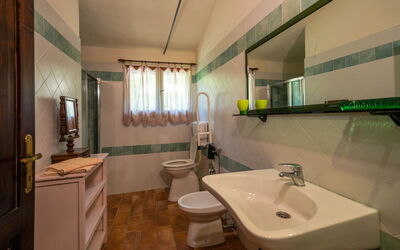 Accommodation:&nbsp;Pini