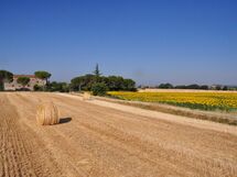 Agriturismo Il Molinello