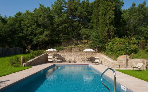 Villa Leopoldina: Water, Plant, Swimming Pool, Sky, Green, Blue, Tree, Natural Landscape, Grass, Leisure