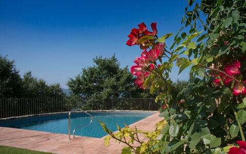 Villa Mandorlo: Water, Sky, Flower, Plant, Property, Nature, Swimming Pool, Vegetation, Tree, Petal