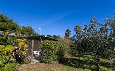 Accommodation:&nbsp;Straccoligno 290.1