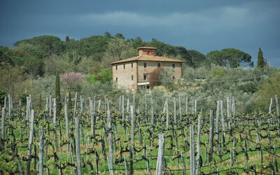 Accommodation:&nbsp;Villa Margherita