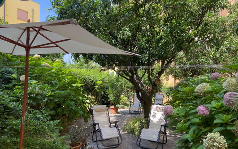 Casa Mary - Levanto: Green, Furniture, Umbrella, Outdoor Furniture, Shrub, Chair, Flowerpot, Garden, Shade