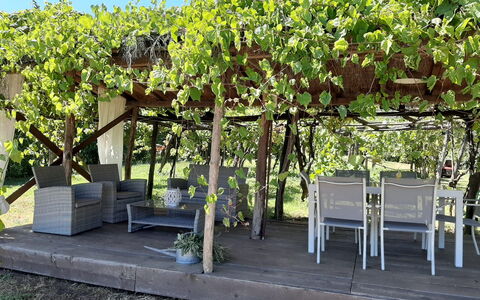 Bettina!: Plant, Shade, Botany, Sky, Shrub, Grass, Tree, Outdoor Bench, Groundcover, Flowering Plant