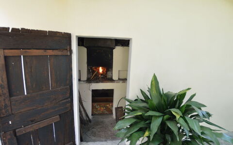 Casa Romana: Property, Room, House, Building, Real Estate, Home, Door, Plant, Floor