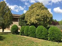 Agriturismo La Pieve