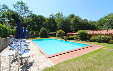 Villa le Balze: Plant, Sky, Property, Swimming Pool, Shade, Tree, Water, Chair, Grass, Leisure