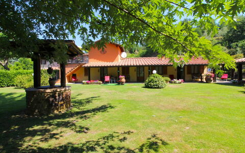 Villa le Balze: Plant, Property, Building, Leaf, Shade, Tree, Land Lot, Natural Landscape, Leisure, Public Space