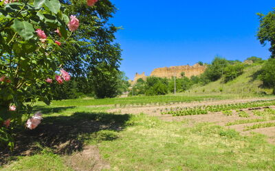 Villa le Balze